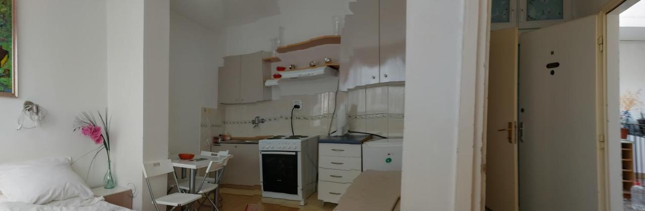 Apartment Daca Stan Belgrade Extérieur photo