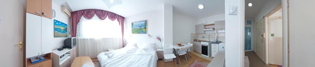 Apartment Daca Stan Belgrade Extérieur photo