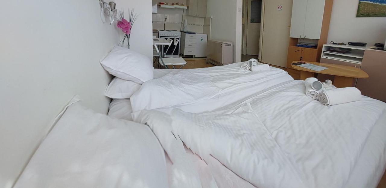 Apartment Daca Stan Belgrade Extérieur photo