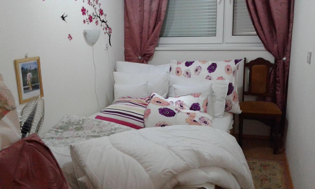 Apartment Daca Stan Belgrade Extérieur photo