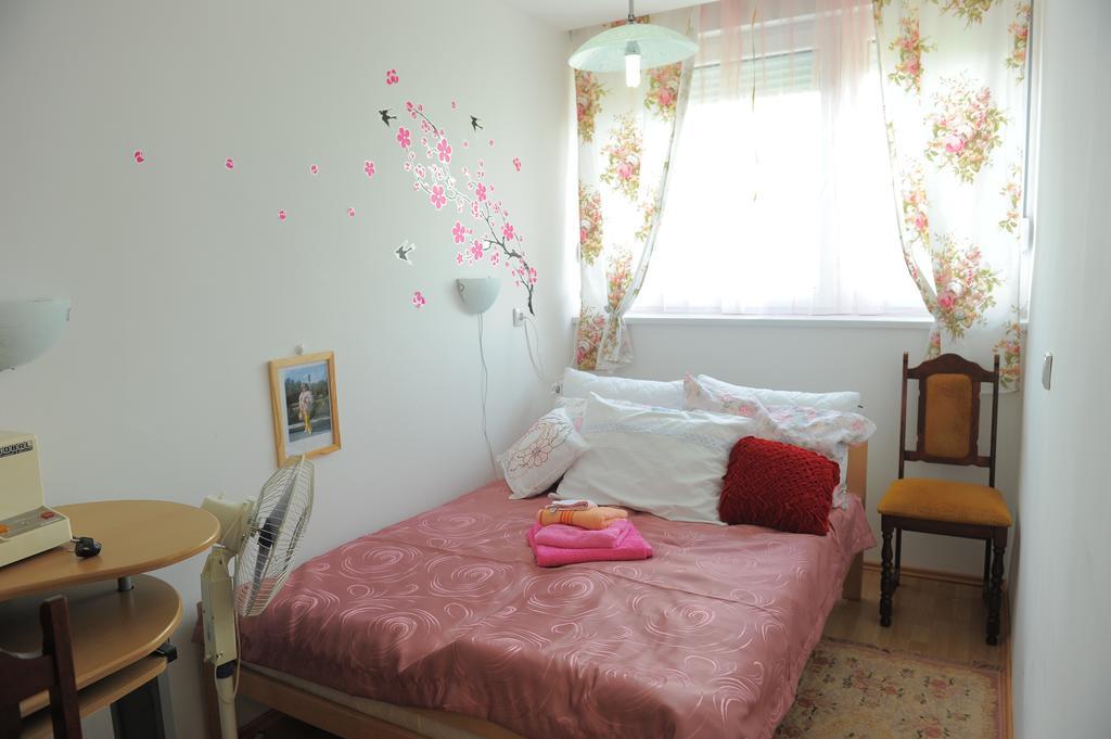 Apartment Daca Stan Belgrade Extérieur photo