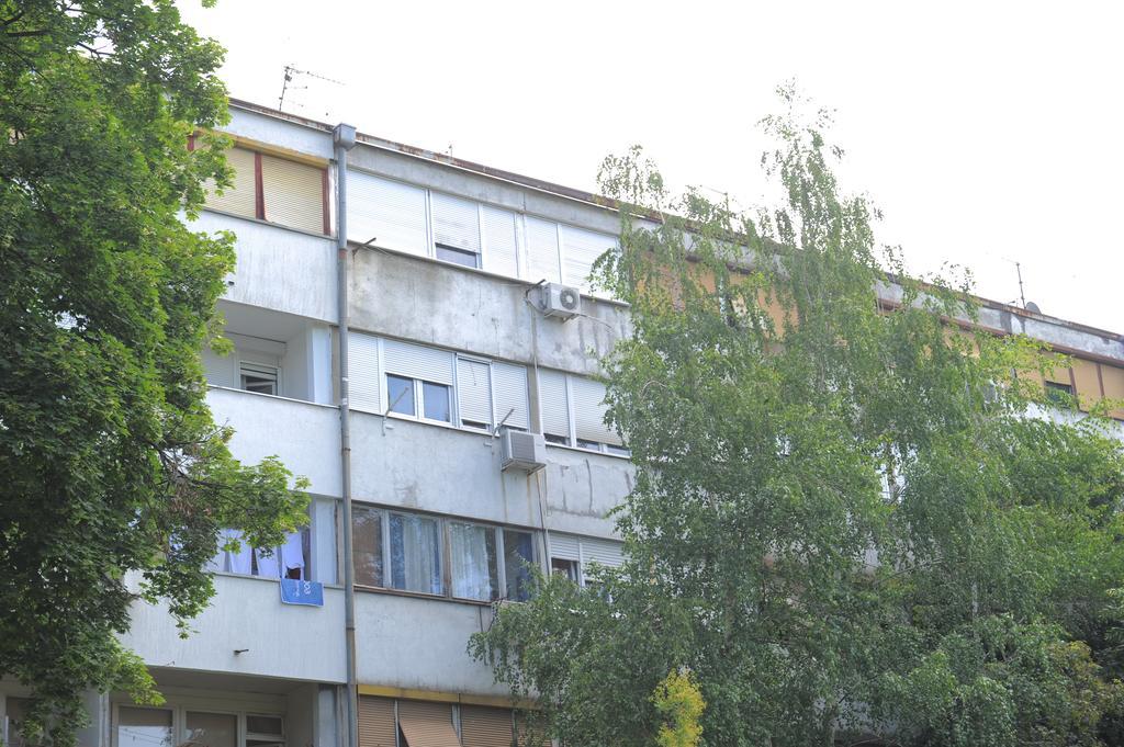Apartment Daca Stan Belgrade Extérieur photo