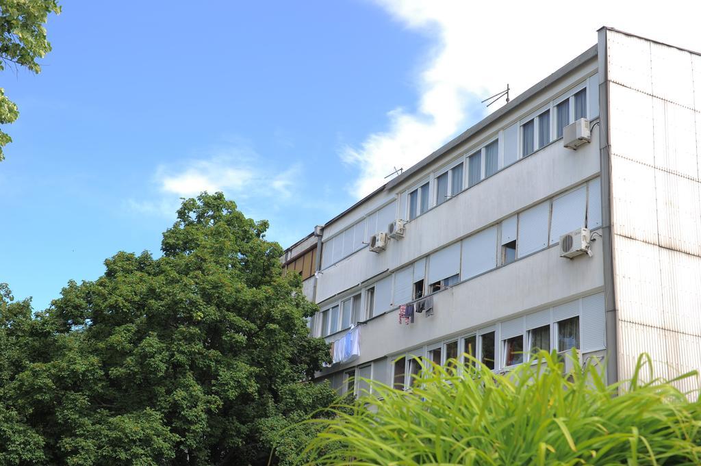 Apartment Daca Stan Belgrade Extérieur photo