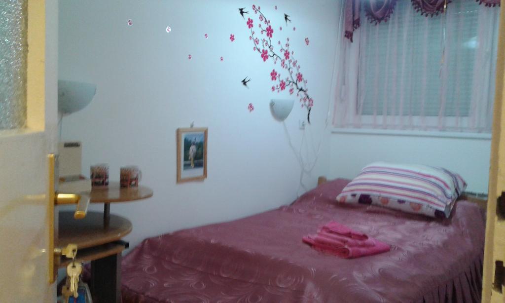 Apartment Daca Stan Belgrade Extérieur photo