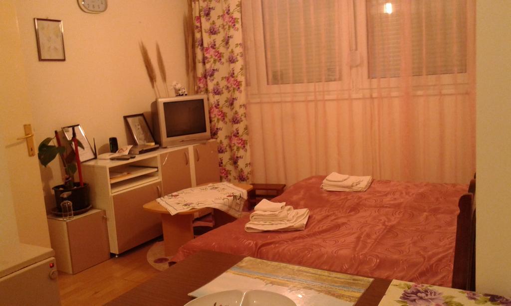 Apartment Daca Stan Belgrade Extérieur photo